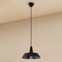 Светильник Эдисон подвесной CL450204 Citilux чёрный 1 лампа, основание чёрное в стиле лофт 