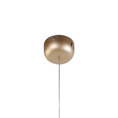 Светильник подвесной LED Tibia 2217-1P Favourite прозрачный 1 лампа, основание золотое в стиле современный трубочки фото 4