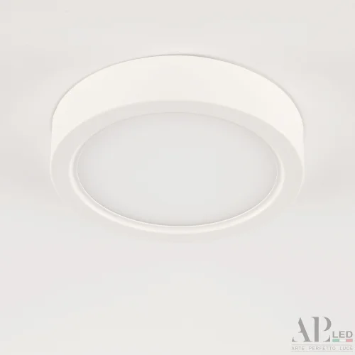 Светильник накладной LED Ingrid 3322.LDY6004M/6W/6K Arte Perfetto Luce белый 1 лампа, основание белое в стиле современный круглый фото 5