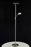 Торшер напольный LED Дискус CL802003 Citilux для чтения коричневый 1 лампа, основание бронзовое жёлтое в стиле современный
