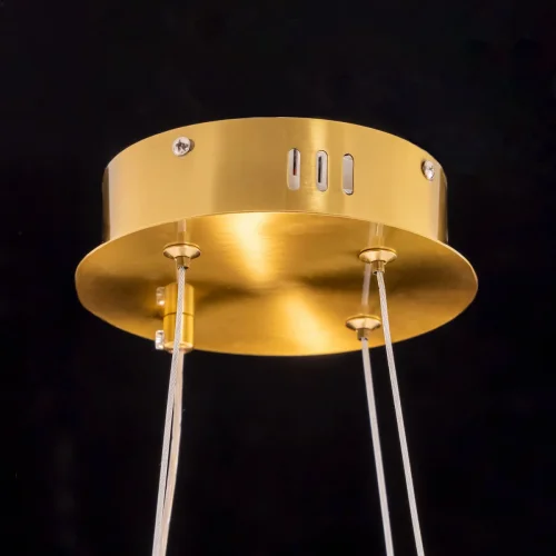 Люстра подвесная LED с пультом Рианна CL337043 Citilux прозрачная на 1 лампа, основание бронзовое в стиле современный с пультом фото 10