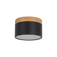 Светильник накладной LED Grape 10162 Black LOFT IT чёрный 1 лампа, основание чёрное в стиле современный круглый