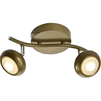 Спот с 2 лампами LED Carissa TL1244Y-02SG Toplight матовый золото LED в стиле хай-тек современный 