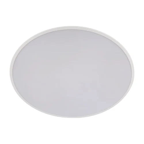 Светильник потолочный LED Brim 10226 White LOFT IT белый 1 лампа, основание белое в стиле современный  фото 5