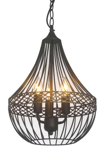 Люстра подвесная  Terra 1800-3P Favourite чёрная на 3 лампы, основание чёрное в стиле кантри 