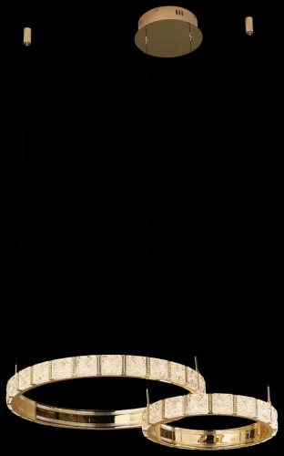 Светильник подвесной LED Vera WE458.02.383 Wertmark прозрачный 1 лампа, основание золотое в стиле хай-тек современный кольца