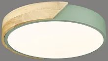 Светильник потолочный LED 445-407-01 Velante белый 1 лампа, основание зелёное коричневое в стиле современный кантри 