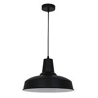 Светильник подвесной лофт BITS 3361/1 Odeon Light чёрный 1 лампа, основание чёрное в стиле лофт 