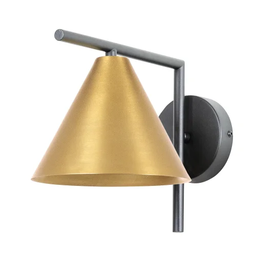 Бра David A7033AP-1BK Arte Lamp латунь на 1 лампа, основание чёрное в стиле современный лофт 