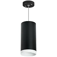 Светильник подвесной Rullo RP64873486 Lightstar чёрный 1 лампа, основание чёрное в стиле хай-тек современный 