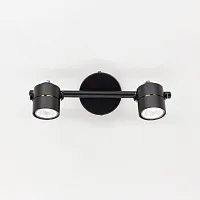 Спот Ринг с 2 лампами CL525522 Citilux чёрный GU10 в стиле современный 