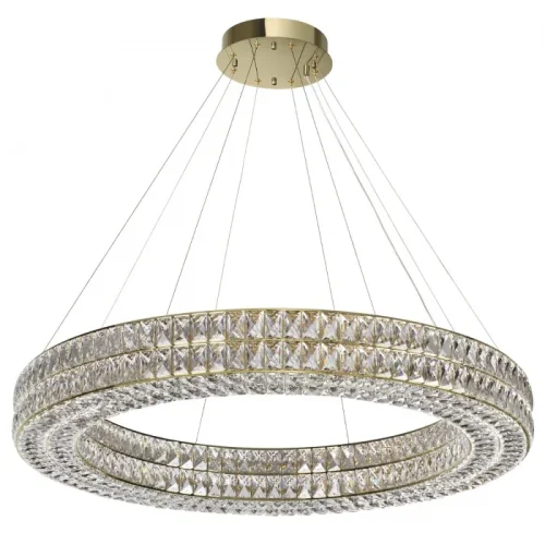Люстра подвесная LED Panta 4926/98L Odeon Light прозрачная на 1 лампа, основание золотое в стиле современный кольца