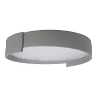 Светильник потолочный LED Coin 10200 Grey LOFT IT белый 1 лампа, основание серое в стиле современный 