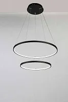Люстра подвесная Giro 1764-10P Favourite чёрная на 2 лампы, основание чёрное в стиле современный кольца Люстра подвесная Giro 1764-10P Favourite чёрная на 2 лампы, основание чёрное в стиле современный кольца
