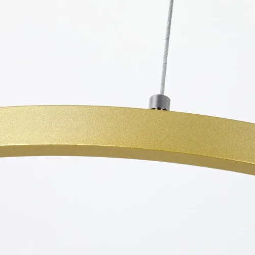 Светильник подвесной LED Giro 2937-4P Favourite золотой 1 лампа, основание золотое в стиле современный кольца фото 4