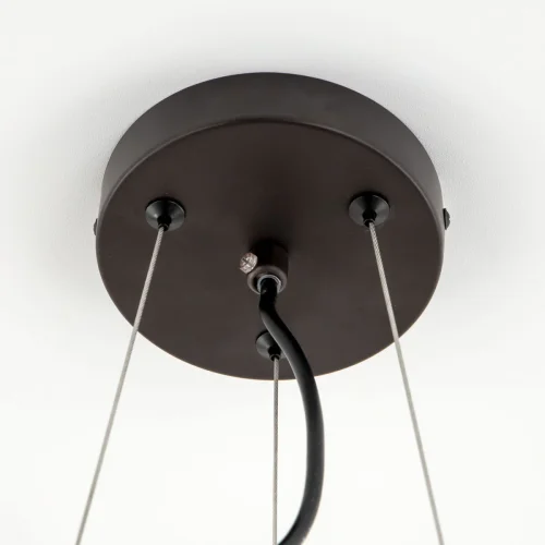 Люстра подвесная Робин CL535245 Citilux янтарная на 4 лампы, основание коричневое в стиле современный лофт  фото 12
