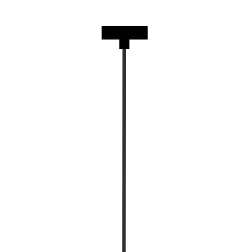 Светильник подвесной Piffero 2984-1P Favourite чёрный 1 лампа, основание чёрное в стиле современный  фото 2