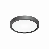 Светильник накладной LED Бейсик CL738121N Citilux белый 1 лампа, основание чёрное в стиле хай-тек современный круглый