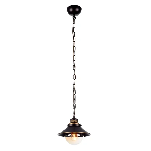 Светильник подвесной лофт Grazioso A4577SP-1CK Arte Lamp прозрачный коричневый 1 лампа, основание коричневое в стиле лофт 