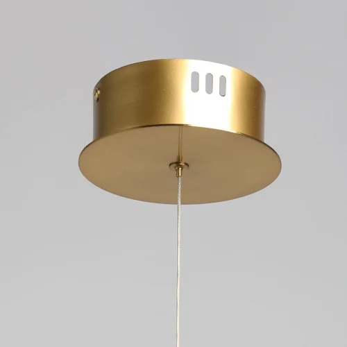 Светильник подвесной LED Капелия 730010701 DeMarkt прозрачный 1 лампа, основание латунь в стиле современный хай-тек  фото 9