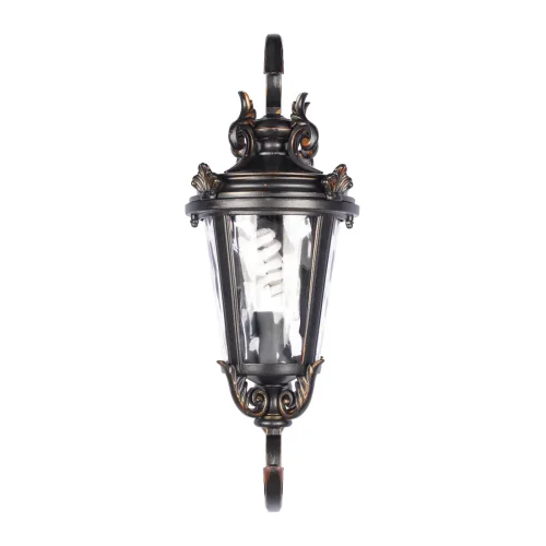 Настенный светильник Verona 100003W LOFT IT уличный IP55 чёрный 1 лампа, плафон прозрачный в стиле классический E27 фото 5