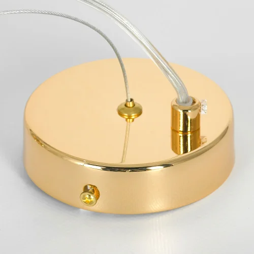 Люстра подвесная Davie LSP-8778 Lussole прозрачная на 12 ламп, основание золотое в стиле флористика современный ветви фото 4
