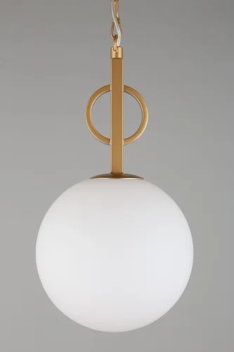 Светильник подвесной Gracia APL.751.06.01 Aployt белый 1 лампа, основание золотое в стиле классический  фото 3