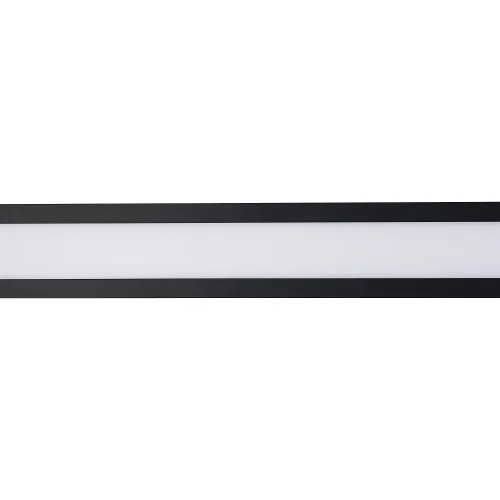 Светильник потолочный LED Meridiem 4004-2W Favourite белый 2 лампы, основание чёрное в стиле современный  фото 4