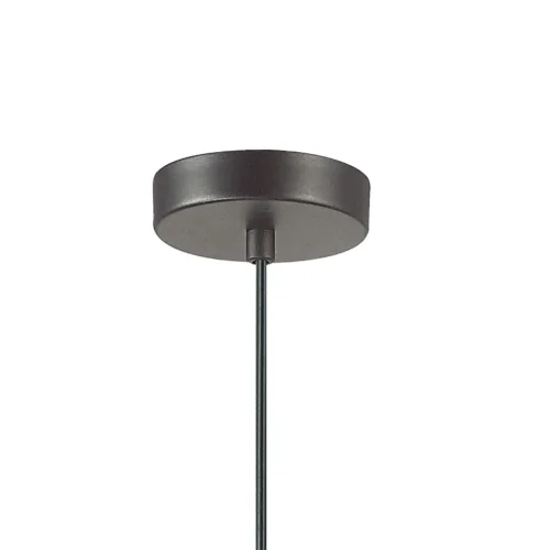 Светильник подвесной Turnover 1947-1P Favourite чёрный 1 лампа, основание чёрное в стиле восточный  фото 3