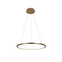Светильник подвесной LED Ring 10014M LOFT IT золотой 1 лампа, основание золотое в стиле хай-тек кольца
