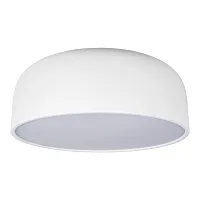 Светильник потолочный LED Axel 10201/480 White LOFT IT белый 1 лампа, основание белое в стиле современный 