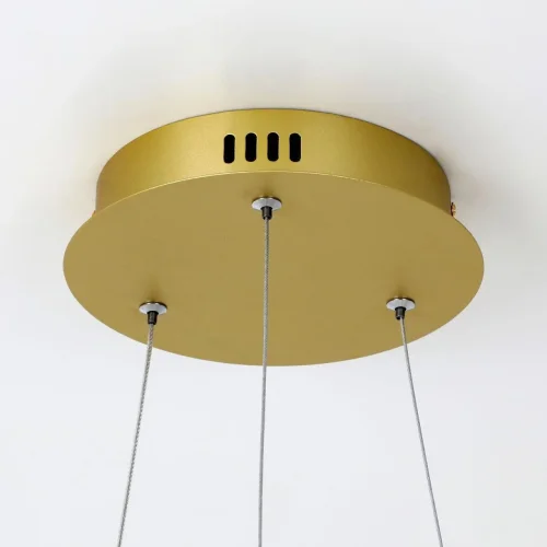 Светильник подвесной LED Giro 2937-4P Favourite золотой 1 лампа, основание золотое в стиле современный кольца фото 2