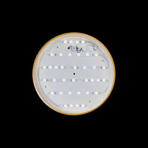 Светильник потолочный LED Axel 10001/36 Yellow LOFT IT белый 1 лампа, основание жёлтое в стиле современный  фото 3