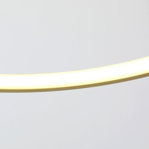 Светильник подвесной LED Giro 2937-4P Favourite золотой 1 лампа, основание золотое в стиле современный кольца фото 3