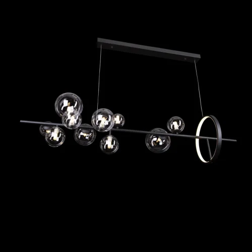 Светильник подвесной Molecule 10023/1200L LOFT IT прозрачный 10 ламп, основание чёрное в стиле современный шар фото 4