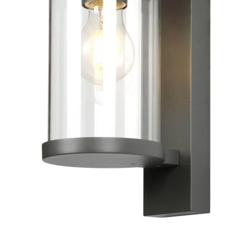 Настенный светильник Lukturis 3038-1W Favourite уличный IP44 чёрный 1 лампа, плафон прозрачный в стиле современный E27 фото 3