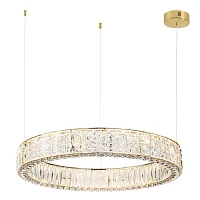 Люстра подвесная LED Version 5071/100L Odeon Light прозрачная на 1 лампа, основание золотое в стиле модерн кольца