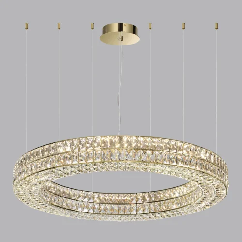 Люстра подвесная LED Panta 4926/98L Odeon Light прозрачная на 1 лампа, основание золотое в стиле современный кольца фото 5