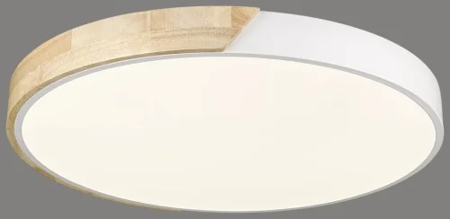 Светильник потолочный LED с пультом 445-047-01 Velante белый 1 лампа, основание коричневое белое в стиле современный кантри с пультом
