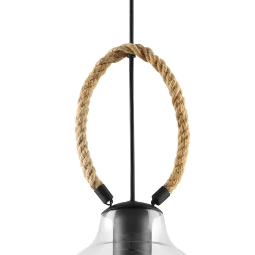 Светильник подвесной Roding 43617 Eglo прозрачный 1 лампа, основание чёрное в стиле лофт современный  фото 3