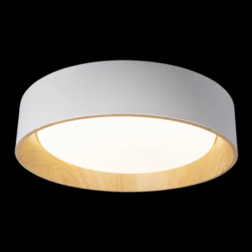 Светильник потолочный LED Coin 10202 White LOFT IT коричневый бежевый белый 1 лампа, основание коричневое белое в стиле современный  фото 2