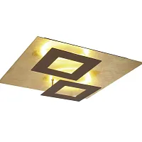 Светильник потолочный LED Dalia 8163 Mantra золотой 1 лампа, основание коричневое в стиле современный хай-тек 