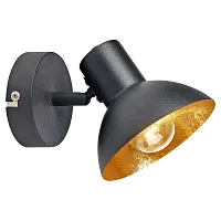 Спот с 1 лампой лофт Louisville GRLSP-9973 Lussole чёрный E14 в стиле лофт 