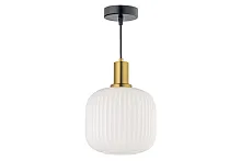 Светильник подвесной Delebio E 1.P1 W Arti Lampadari белый 1 лампа, основание чёрное в стиле современный 