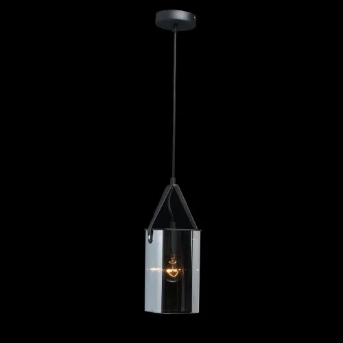 Светильник подвесной Тетро 673015701 DeMarkt чёрный 1 лампа, основание чёрное в стиле современный  фото 2