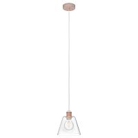 Светильник подвесной Copley 43631 Eglo прозрачный 1 лампа, основание розовое в стиле современный 