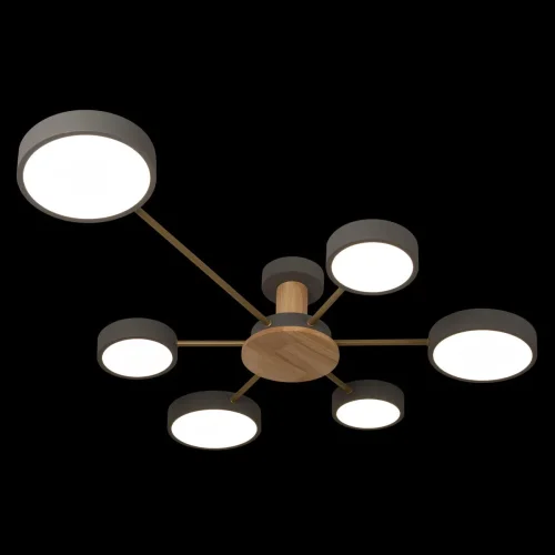 Люстра потолочная LED Sunrise 10316/6 Grey LOFT IT серая на 1 лампа, основание серое бежевое в стиле современный хай-тек  фото 2