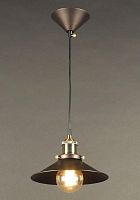 Светильник Эдисон подвесной CL450101 Citilux коричневый 1 лампа, основание бронзовое коричневое в стиле лофт 