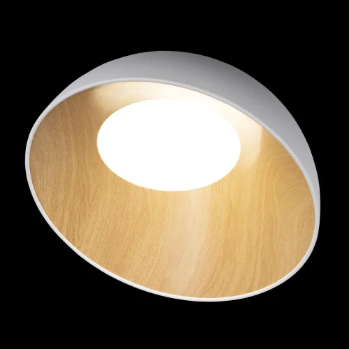 Светильник потолочный LED Egg 10197/500 White LOFT IT белый бежевый коричневый 1 лампа, основание коричневое белое в стиле современный  фото 4