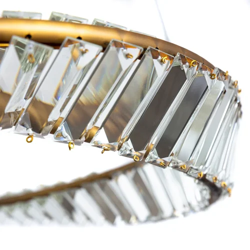 Люстра подвесная LED Millie 1136/17 SP-36 Divinare прозрачная на 1 лампа, основание латунь в стиле современный кольца фото 3